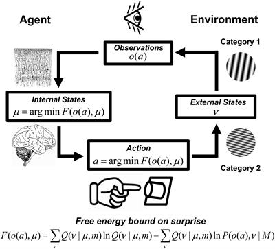 Mental Effort and Information-Processing Costs Are Inversely Related to Global Brain Free Energy During Visual Categorization